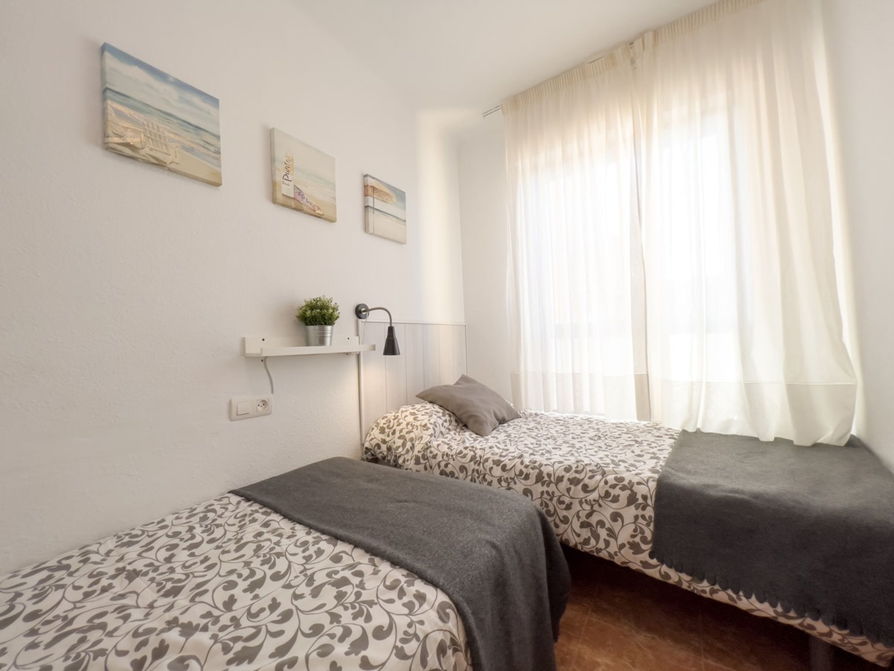 A bedroom with two beds, a bedside table with a lamp, a shelf with a plant, and a window with sheer curtains.