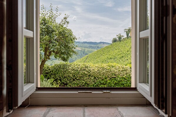 Villa - Villa Langhe in Castiglione Falletto (Castiglione Falletto)