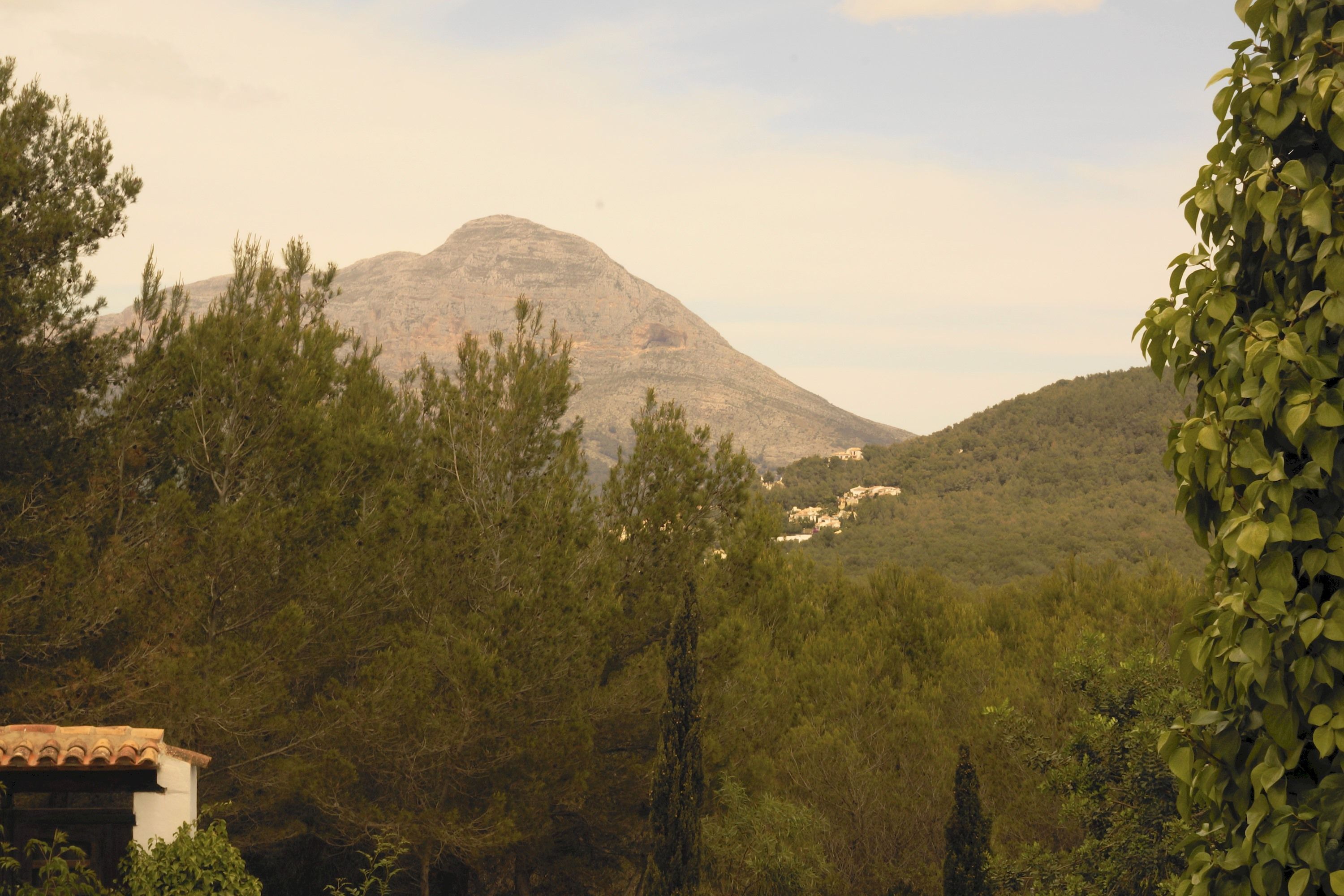 Un paisaje montañoso con un bosque denso y un edificio de techo con tejas.