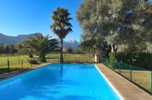 Ein rechteckiger Swimmingpool mit klarem, blauem Wasser, umgeben von einer gepflasterten Liegefläche und einem grünen Zaun.