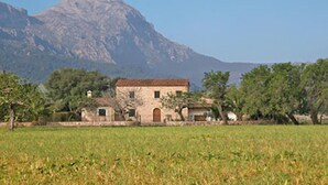 Ein rustikales Steinhaus mit Ziegeldach, umgeben von einer grünen Wiese und Bäumen, mit einem Berg im Hintergrund.