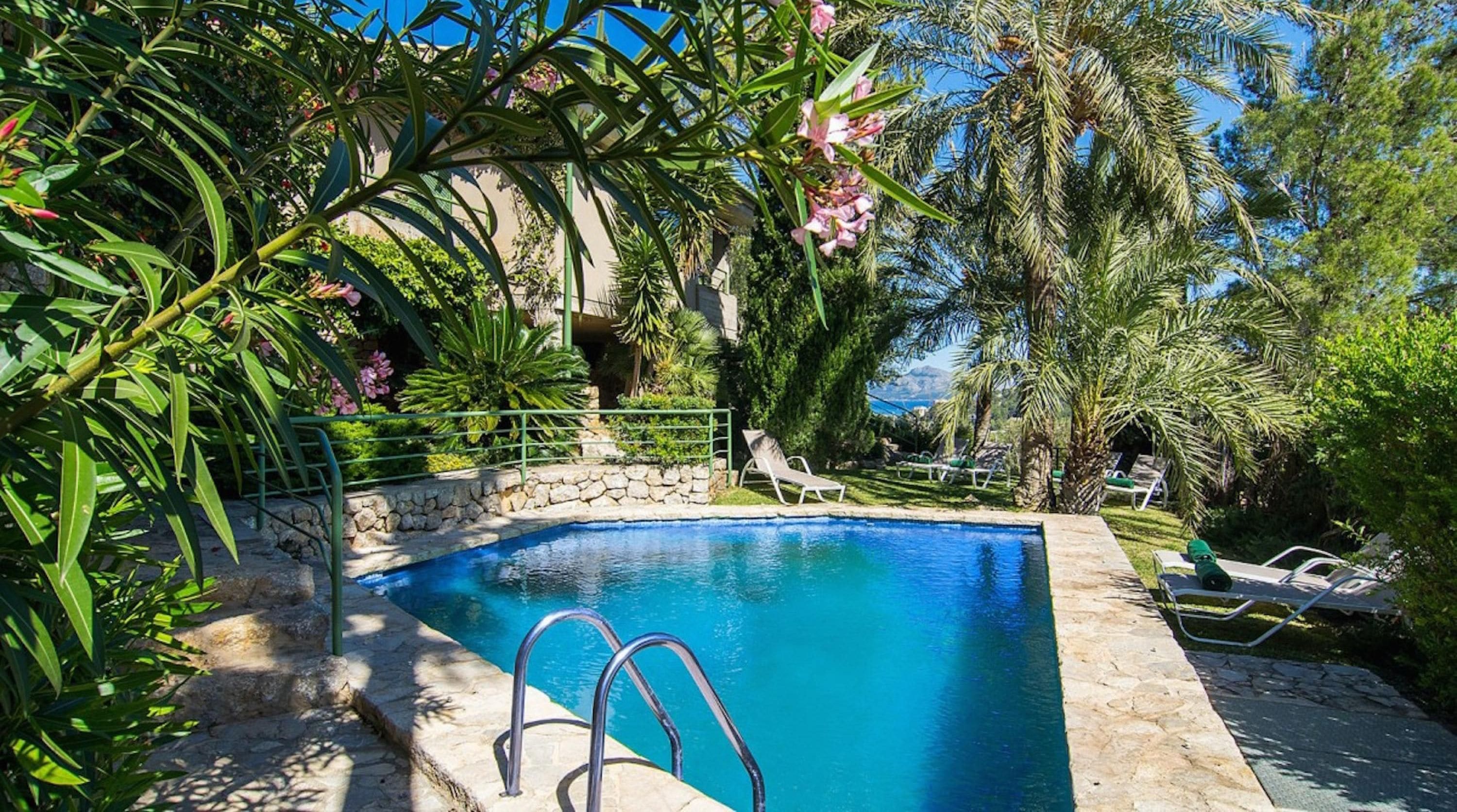 A clear blue pool surrounded by lush greenery and palm trees, with a stone wall and lounge chairs.