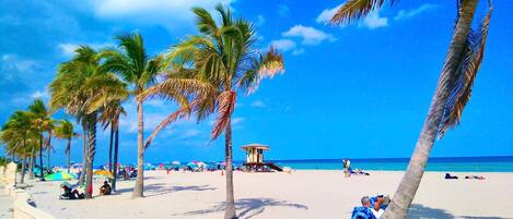 公寓 | 1 間臥室