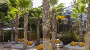 Zona de resort con áreas de estar circulares rodeadas de palmeras y un edificio moderno al fondo.
