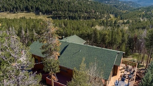 Une cabane dotée d’un toit végétalisé, entourée d’une forêt dense, et une terrasse avec des sièges d’extérieur.