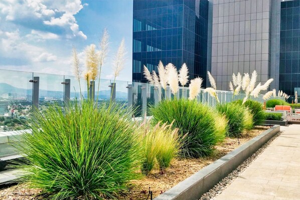 Apartment, Accessible