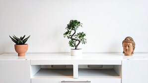 A white cabinet with three items: a terracotta pot with a succulent, a bonsai tree in a white pot, and a Buddha head sculpture. - Stunning Hi-rise Pool-jacuzzi gym HS Wi-fi (Mexico City)