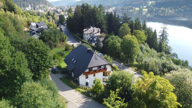 Un quartier résidentiel où les maisons sont entourées d’une végétation luxuriante et où se trouve un lac.