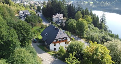 Vacation apartment DaHeim Hinterzarten on Lake Titisee