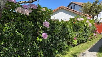Villa | 5 soveværelser
