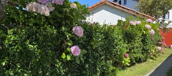 La Casa Nueva Casa 5 Habitaciones