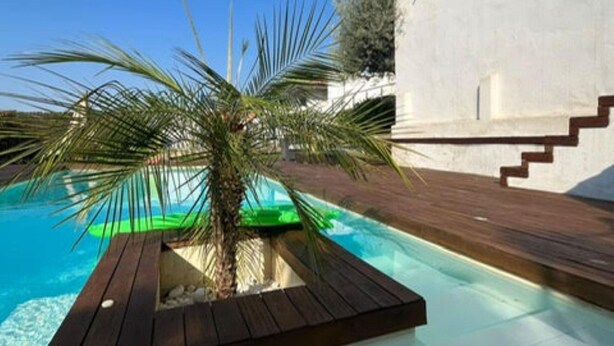 A swimming pool with a wooden deck, a palm tree, and a white building with a number 7. - Villa Independiente con Piscina y Vistas (Sant Pere de Ribes)