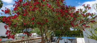 Casa Angels in L Ametlla de Mar