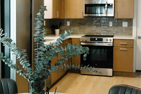 Microondas, horno, placa de cocina, lavavajillas