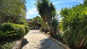 A paved pathway leading to a building with a tiled roof, surrounded by lush greenery and palm trees. - Can Coste by Vida Villas Private Pool Mountain Views Walk to Town (Pollença)