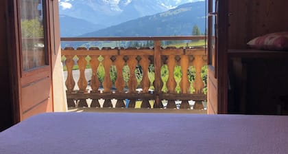 Large apartment at the bottom of slopes 360° panoramic views Mt Blanc, Aravis.