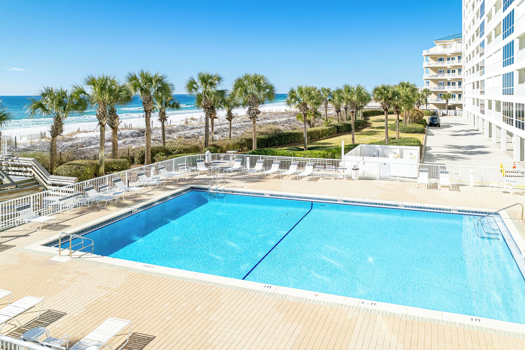 Zona de piscina con vista a la playa y al océano, rodeada de palmeras y un edificio.