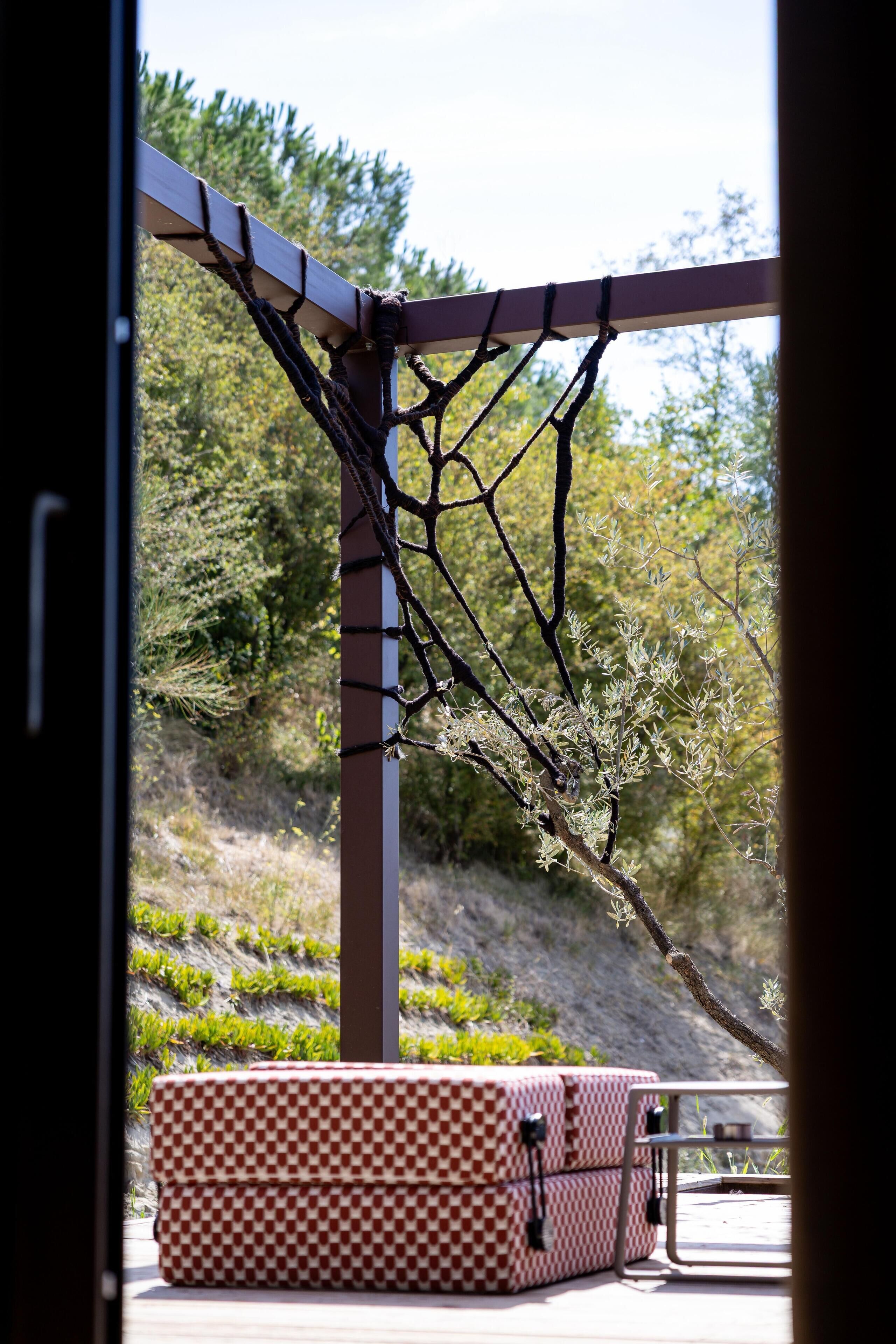 Una cadira i un taulell a joc sota una pergola amb una planta enfiladissa.