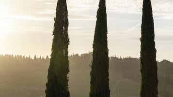 Außenpool (je nach Saison geöffnet), Sonnenschirme, Liegestühle