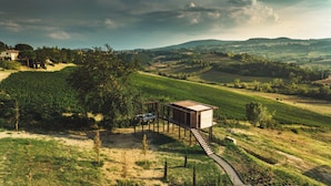 Estructura de madera rústica con armazón metálico, elevada sobre pilotes, rodeada por un viñedo y un sendero de tierra que la lleva.