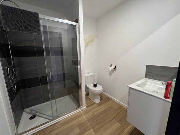 A modern bathroom with a glass-enclosed shower, a toilet, and a sink with a mirror.