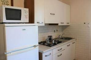 Fridge, microwave, stovetop, cookware/dishes/utensils