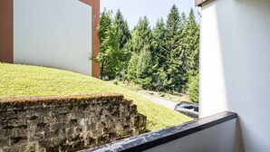 A view from a balcony overlooking a grassy area with trees and a car parked in the distance.