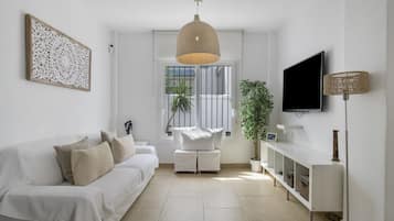 Télévision, cheminée, lecteur de DVD