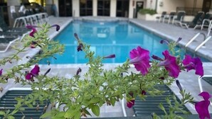 Ein Innenpool mit Blick auf ein Gebäude mit mehreren Balkonen und einer Lounge-Bereich mit Liegestühlen.