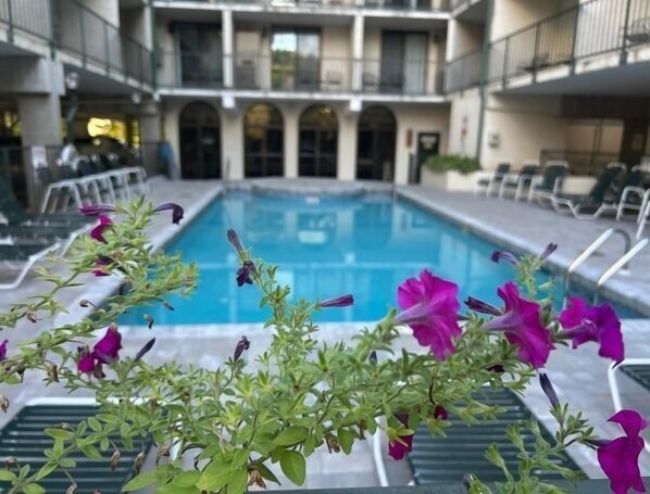 Piscine intérieure