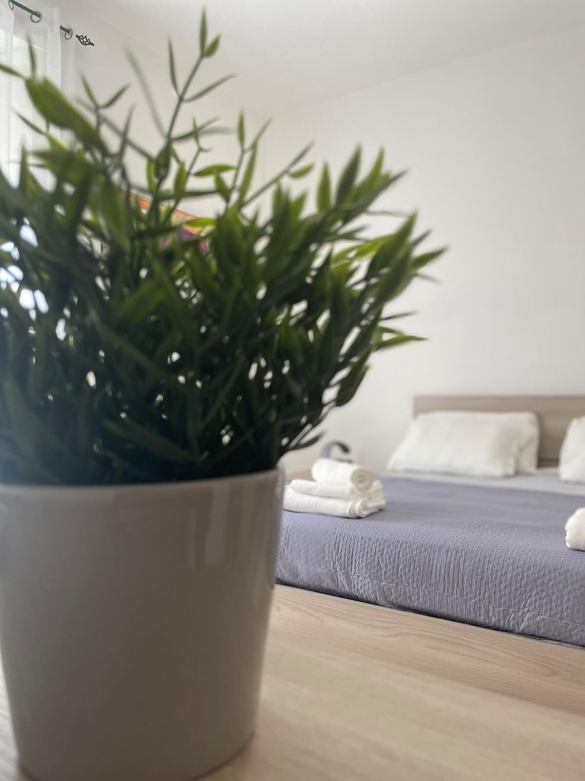 A potted plant in the foreground with a bed in the background.