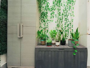 Property grounds - Stunning Condesa Townhouse with Private Terrace (Mexico City)