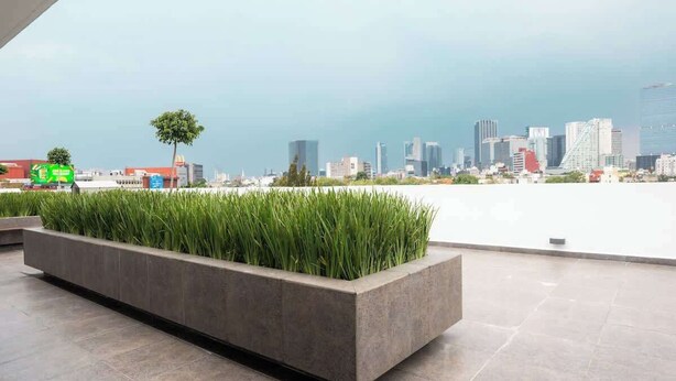Une terrasse sur le toit, avec un bac en béton rempli d’herbe, une vue sur les gratte-ciel de la ville en arrière-plan et un panneau McDonald’s visible sur la gauche.