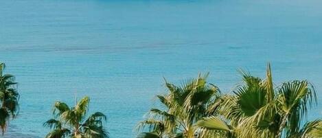 Apartamento | 1 dormitorio y Internet