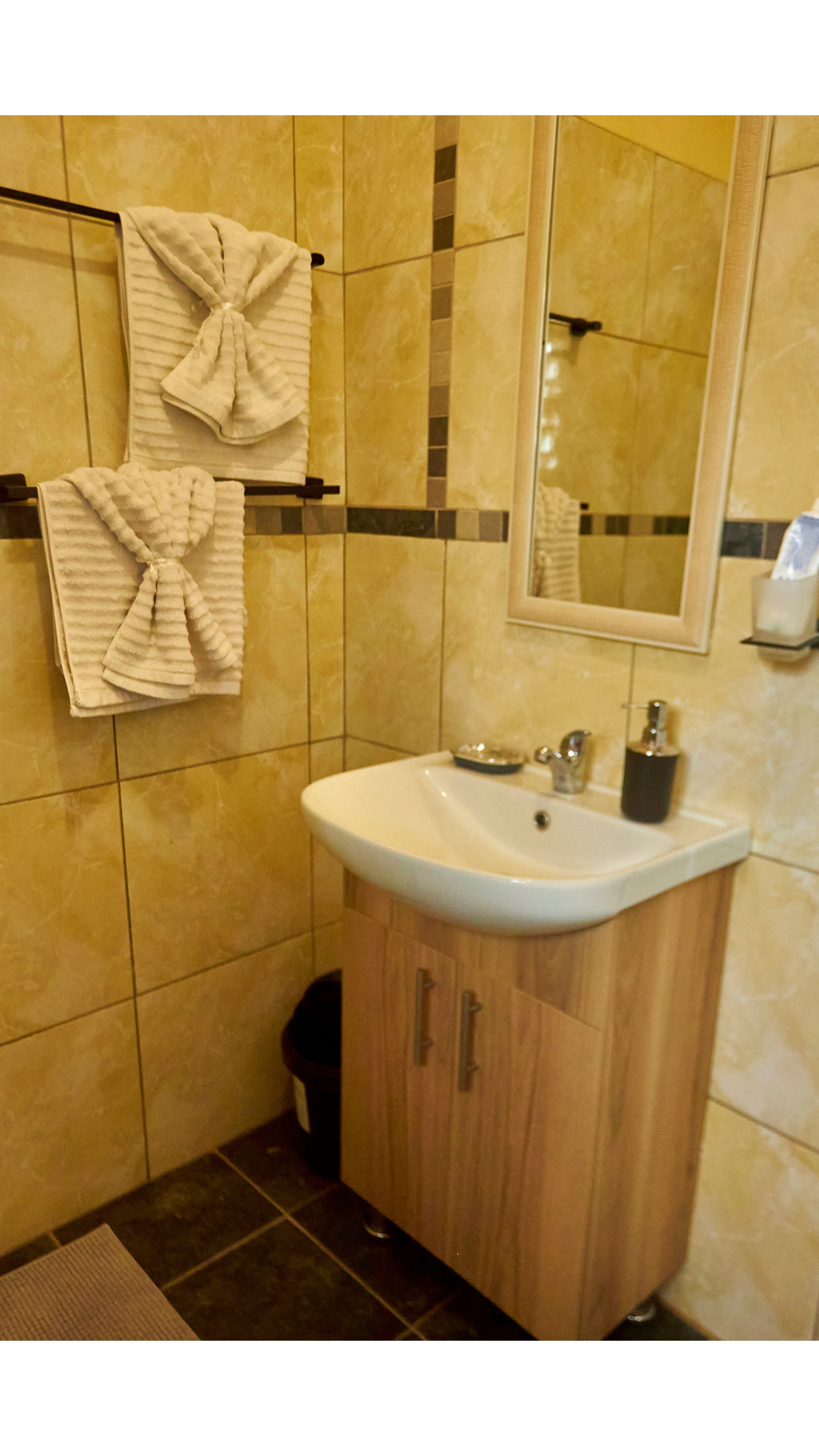 Shower, hair dryer, towels, toilet paper