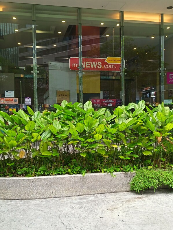 Fachada da propriedade