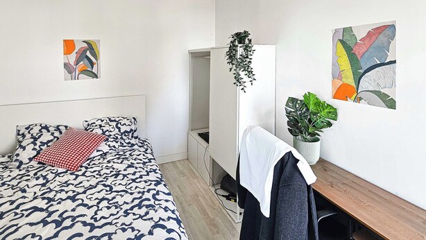 A bedroom with a bed, a desk, a chair, a plant, and artwork on the walls. - Private Room in a Shared Flat - Villeurbanne (Villeurbanne)