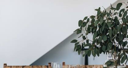 Maple on Albert Berry - by Linnaeus Collection