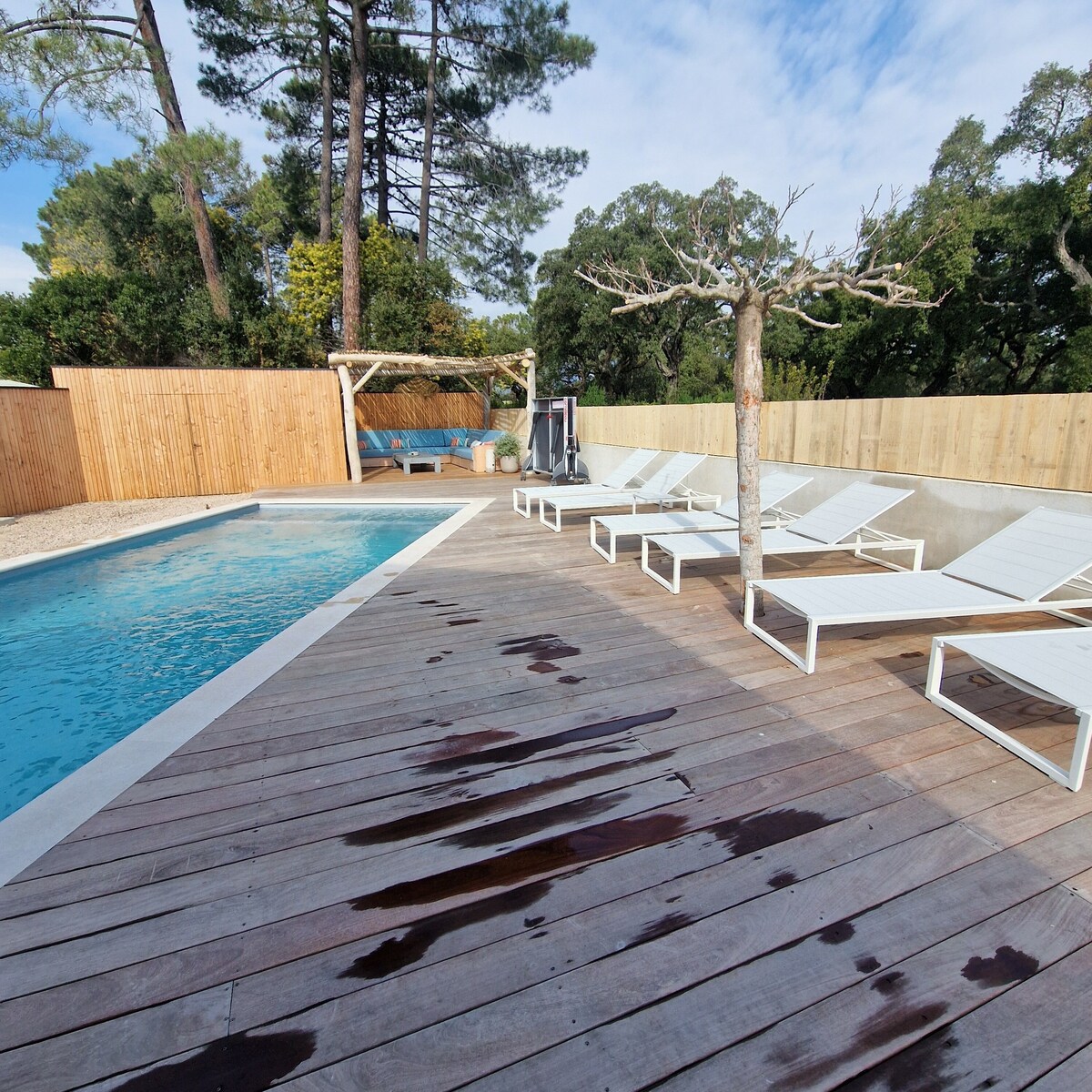 Bild für Gastgeberprofil