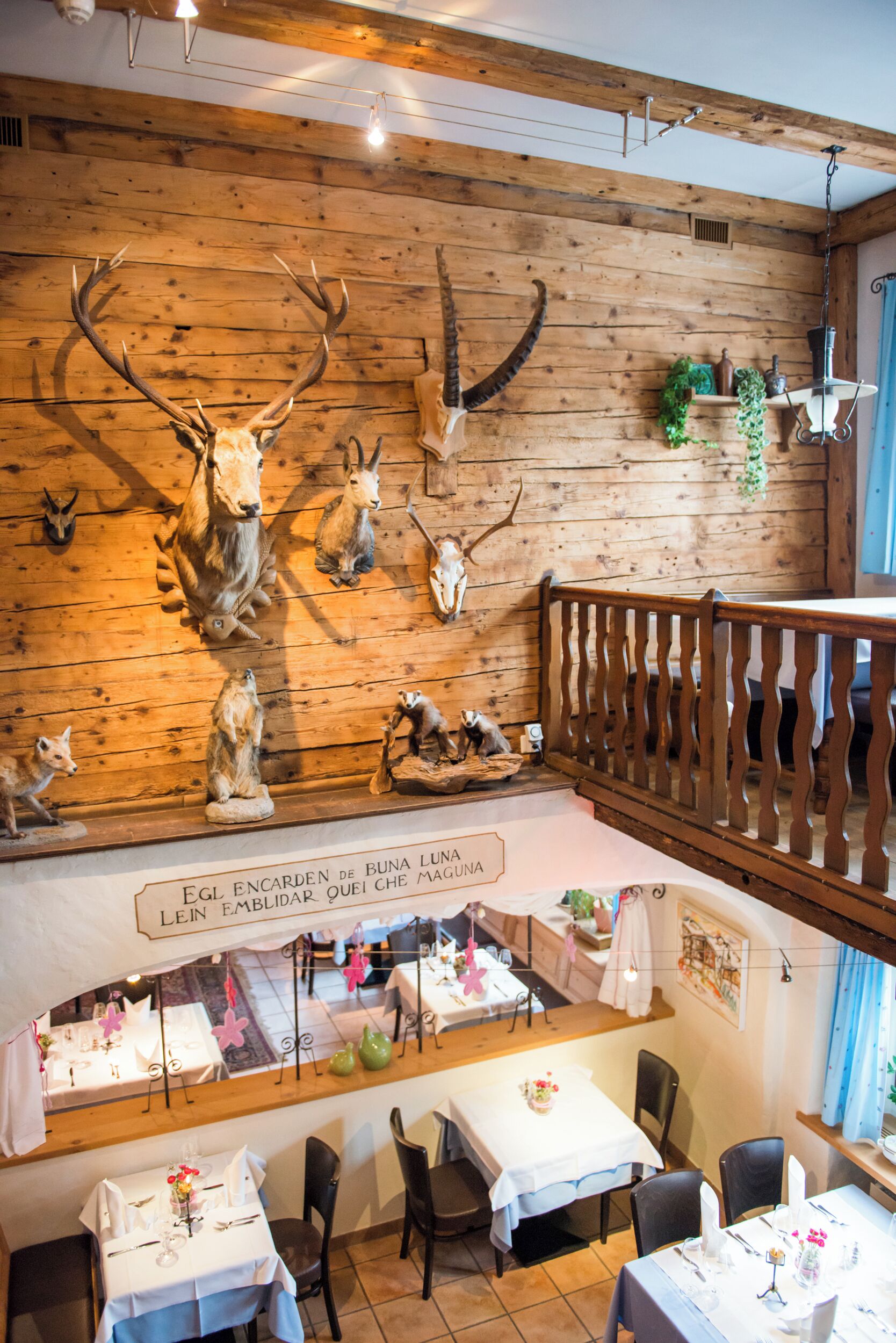 En restaurant med trævægge, monterede dyrehoveder og et spiseområde med borde og stole.