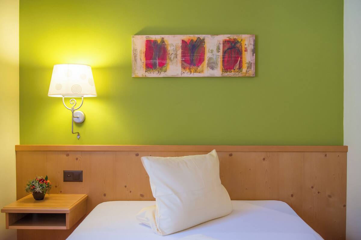 Basic Single Room, Mountain View | In-room safe, desk, free WiFi