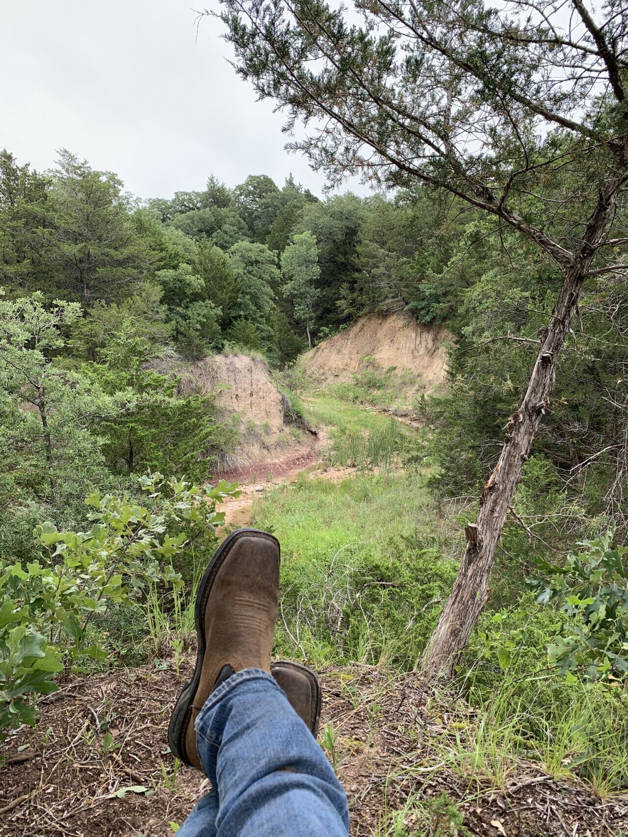 Una persona sentada con vista a un área boscosa y un sendero de tierra.
