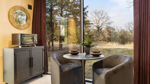 Une pièce avec une grande fenêtre, un téléviseur posé sur un meuble, deux chaises, une petite table avec une plante et un miroir décoratif.