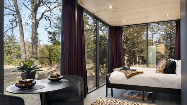 Une chambre moderne avec un grand lit, une petite table ornée d’une plante et une vue sur les arbres, visible à travers de grandes fenêtres.