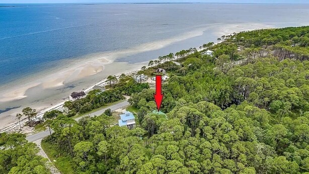 An aerial view of a coastal area with a beach, dense green forest, and a red arrow pointing to a specific location. - Beach/Marina/Walking trails and more… (Carrabelle)