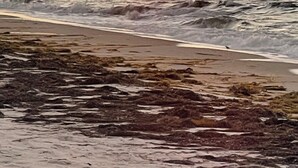 A beach with waves and a sunset. - Beach/Marina/Walking trails and more… (Carrabelle)