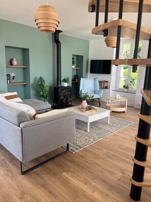 Smart TV, fireplace, books