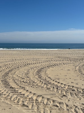A sandy beach with footprints leading to the water. - White Marlin & Concerts | 2BR w/ Pool & Parking (Ocean City)