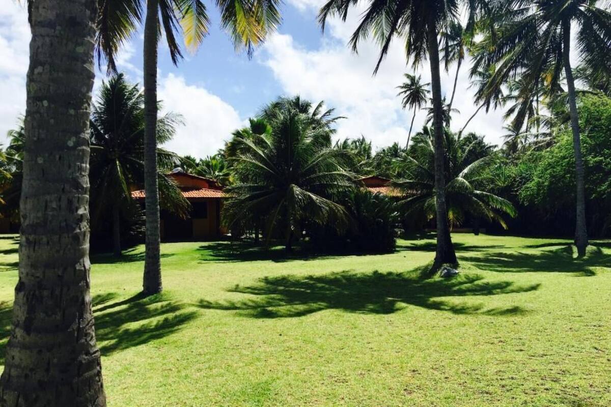 A tropical garden with palm trees and a building with a red roof.