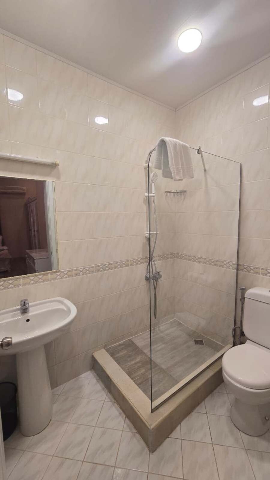 A bathroom with a glass-enclosed shower, a sink, and a toilet.